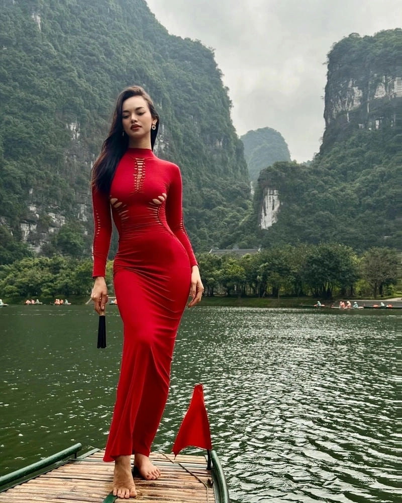 Pha Mai Ngô cãi làm mạng xã hội bùng nổ tại QQLive APP